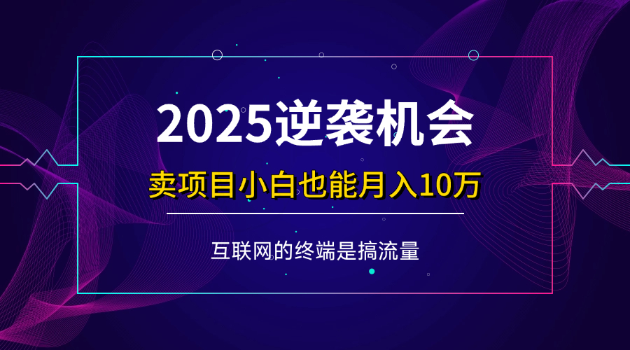 （14122期）项目标题：2025逆袭机会，卖项目小白也能轻松月入10万+-佳佳云创网