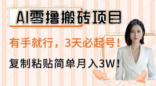 （14134期）AI零撸搬砖项目玩法，有手就行，3天必起号，复制粘贴简单月入3W！-佳佳云创网