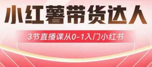 小红薯达人带货启航计划，3节直播课从0-1入门小红书-佳佳云创网