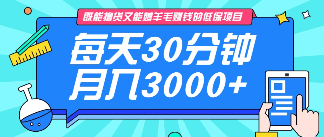 既能撸货又能赚钱的长期低保项目，每天30分钟，多号百分百稳定月入3000+！-佳佳云创网