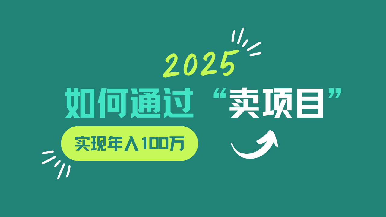 2025年如何通过“卖项目”实现年入100w-佳佳云创网