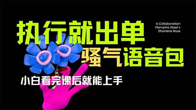 （14170期）爆火全网的开车导航骚气语音包,只要执行就出单，小白看完课程就能实操…-佳佳云创网