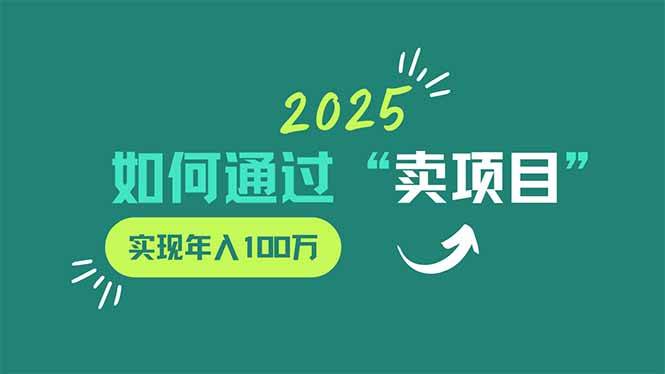 （14176期）2025年如何通过“卖项目”实现年入100万-佳佳云创网