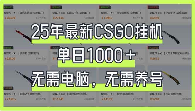 （14178期）25年最新CSGO挂机系统，单日1000+，无需电脑，无需养号，0基础可上手-佳佳云创网