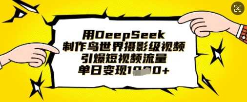 用DeepSeek制作鸟世界摄影级视频，引爆短视频流量，单日变现1k-佳佳云创网