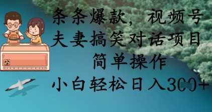 条条爆款，视频号夫妻搞笑对话项目，简单操作，小白轻松日入3张+-佳佳云创网