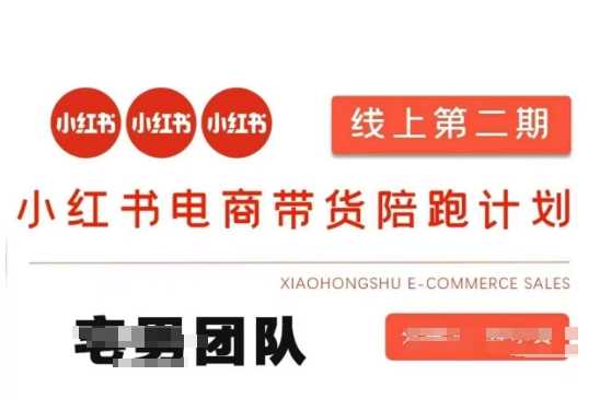 小红书电商带货课2期，月利润20个的小红书电商的有货源，无货源，虚拟产品，付费投流等整套玩法-佳佳云创网