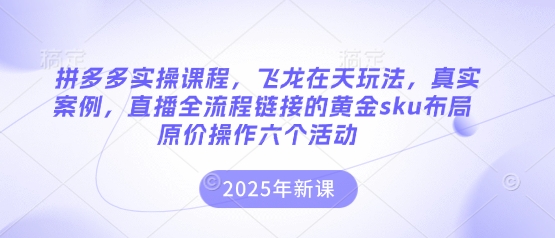 拼多多实操课程，飞龙在天玩法，真实案例，直播全流程链接的黄金sku布局原价操作六个活动-佳佳云创网