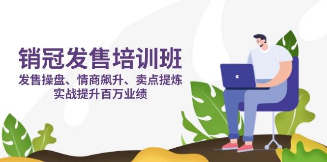 （14203期）销冠 发售培训班：发售 操盘+情商 飙升+卖点 提炼，实战提升百万业绩-佳佳云创网