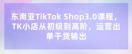东南亚TikTok Shop3.0课程，TK小店​从初级到高阶，运营出单干货输出-佳佳云创网