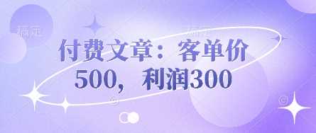 付费文章：客单价500，利润300-佳佳云创网