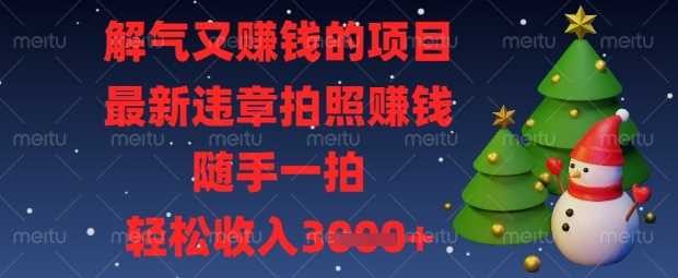 解气又挣钱的项目，最新违章拍照挣钱，随手一拍，轻松收入数张【揭秘】-佳佳云创网