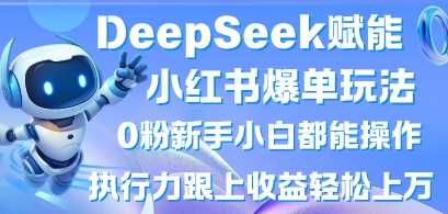 DeepSeek赋能小红书爆单玩法0粉新手小白都能操作，执行力跟上收益轻松上W，懒人勿做-佳佳云创网