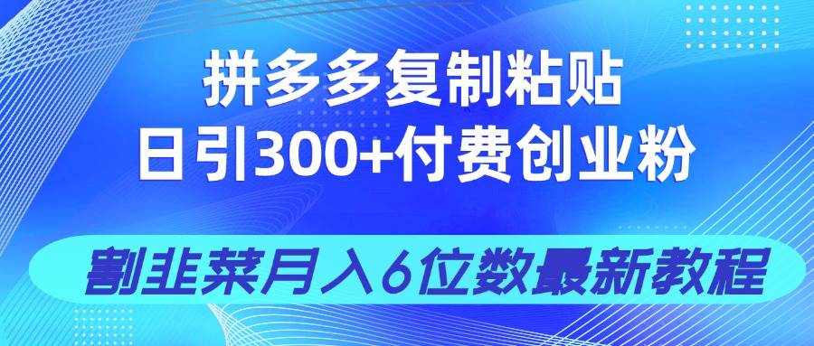 （14232期）拼多多复制粘贴日引300+付费创业粉，割韭菜月入6位数最新教程！-佳佳云创网