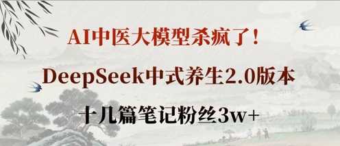 AI中医大模型杀疯了！DeepSeek中式养生2.0版本，十几篇笔记粉丝3w+-佳佳云创网