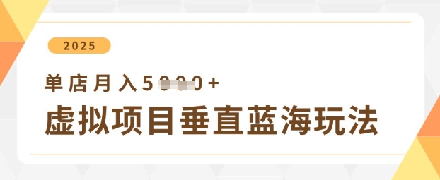 虚拟项目垂直玩法，实现单店月入5k+-佳佳云创网