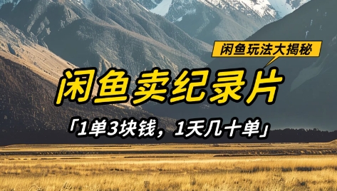 闲鱼卖纪录片1单3块钱，1天几十单，项目稳定有潜力-佳佳云创网