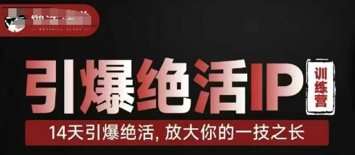 引爆绝活IP训练营，14天引爆绝活，放大你的一技之长-佳佳云创网