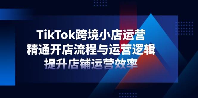 （14369期）TikTok跨境小店运营，精通开店流程与运营逻辑，提升店铺运营效率-佳佳云创网