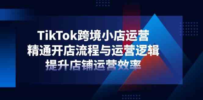 TikTok跨境小店运营，精通开店流程与运营逻辑，提升店铺运营效率-佳佳云创网