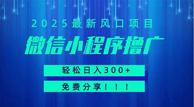 （14375期）微信小程序撸广，最新风口项目，日入300+ 免费分享 可批量操作 小白可…-佳佳云创网