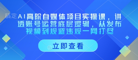 AI高阶自媒体项目实操课，讲透账号运营底层逻辑，从发布视频到规避违规一网打尽-佳佳云创网