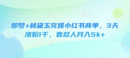 即梦+林黛玉完爆小红书商单，3天涨粉1千，靠怼人月入5k+-佳佳云创网
