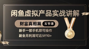 精品！闲鱼虚拟产品实战讲解，新手一部手机即可操作，副业月利润可达5k+-佳佳云创网