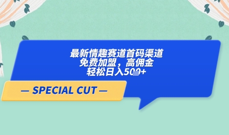 【轻云】最新情趣赛道首码渠道，免费加盟，高佣金，轻松日入5张+-佳佳云创网