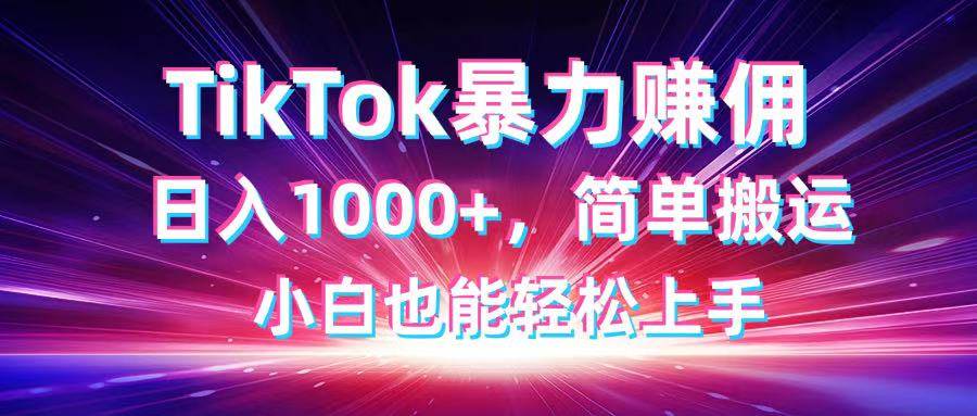 （14402期）TikTok搬运暴力赚佣，日入1000+，简单搬运，小白也能轻松上手-佳佳云创网
