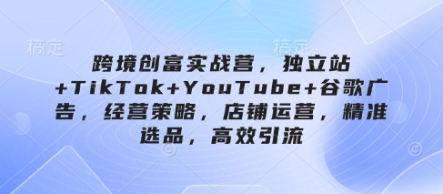 跨境创富实战营，独立站+TikTok+YouTube+谷歌广告，经营策略，店铺运营，精准选品，高效引流-佳佳云创网