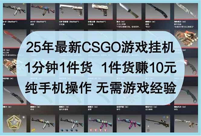 （14439期）25年最新CSGO游戏挂机，1分钟1件货，1件货赚10元 纯手机操作 无需游戏经验-佳佳云创网