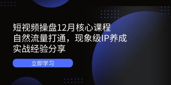 短视频操盘12月核心课程：自然流量打通，现象级IP养成，实战经验分享-佳佳云创网