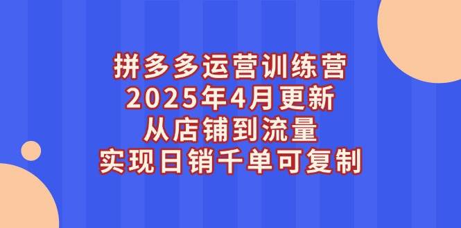 （14469期）拼多多运营训练营2025年4月更新，从店铺到流量，实现日销千单可复制-佳佳云创网
