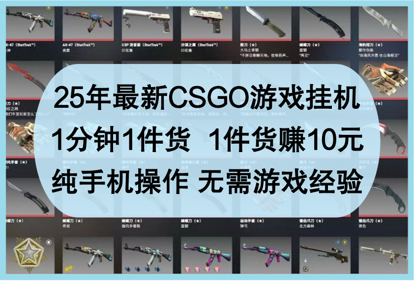 25年最新CSGO游戏挂机，1分钟1件货，1件货赚10元，纯手机操作，无需游戏经验-佳佳云创网