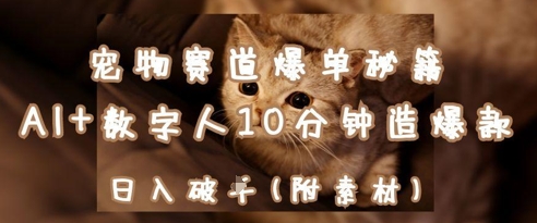 宠物赛道爆单秘籍：AI+数字人10分钟造爆款，日入1k-佳佳云创网