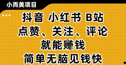 小而美的项目，抖音小红书B站视频点赞、关注、评论就能挣钱，简单无脑立见收益，妥妥的零撸项目【揭秘】-佳佳云创网