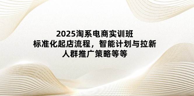 （14522期）2025淘系电商实训班：标准化起店流程，智能计划与拉新，人群推广策略等等-佳佳云创网