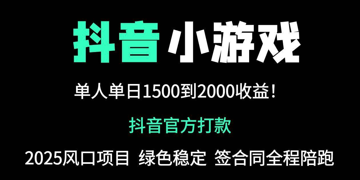 （14527期）抖音官方小游戏2025全网最新玩法，暴利赚钱项目，单机日入2000+，绝不…-佳佳云创网