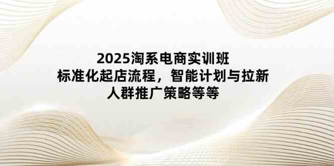 2025淘系电商实训班：标准化起店流程，智能计划与拉新，人群推广策略等等-佳佳云创网