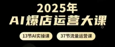 2025年AI爆店运营大课，13节AI实操课+37节流量运营课-佳佳云创网