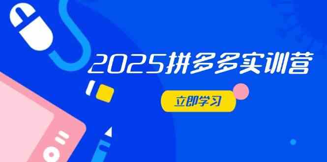 2025拼多多实训营：深度剖析运营关键，助力电商人快速提升-佳佳云创网