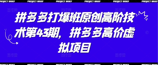 拼多多打爆班原创高阶技术第43期，拼多多高价虚拟项目-佳佳云创网