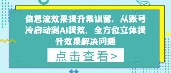 信息流效果提升集训营，从账号冷启动到AI提效，全方位立体提升效果解决问题-佳佳云创网