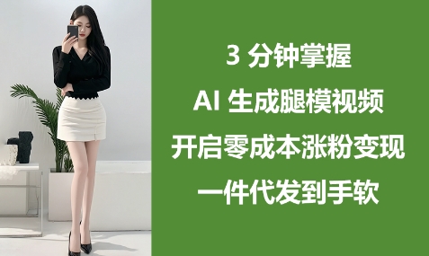 3分钟掌握AI生成腿模视频，开启零成本涨粉变现，一件代发到手软-佳佳云创网