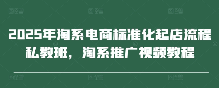 2025年淘系电商标准化起店流程私教班，淘系推广视频教程-佳佳云创网