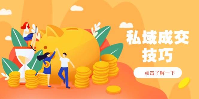 （14566期）私域成交技巧，帮你从入门到精通，破解四大痛点，快速变现，轻松收钱-佳佳云创网