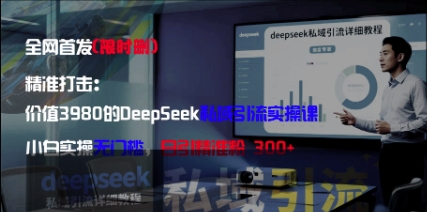精准打击：价值3980的DeepSeek私域引流实操课，小白实操无门槛，日引精准粉300+-佳佳云创网