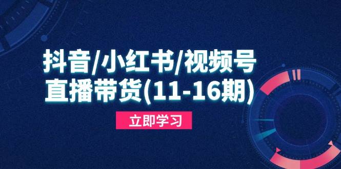 （14611期）抖音/小红书/视频号/直播带货(11-16期)，快速掌握平台规则，打造爆款内容-佳佳云创网