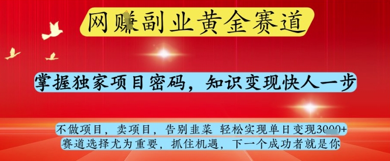 网创副业黄全赛道，掌握独家项目密码，知识变现快人一步，告别韭菜轻松实现单日变现1k+【揭秘】-佳佳云创网